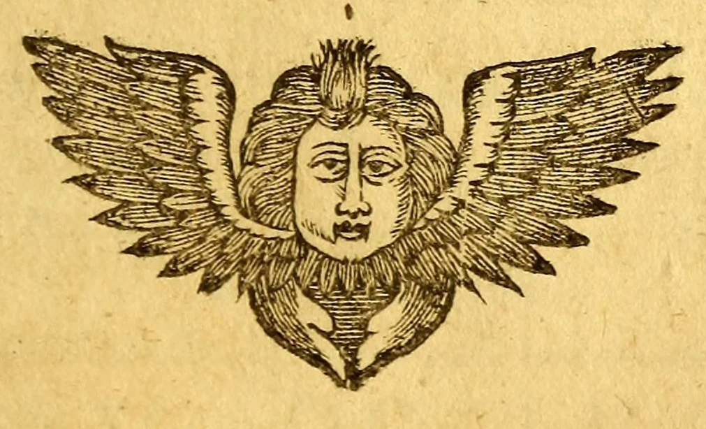 An illustration from Introduction a la langue des Galibis, sauuages de la terre ferme de l'Amerique Meridionale., 1655, leaf 243
