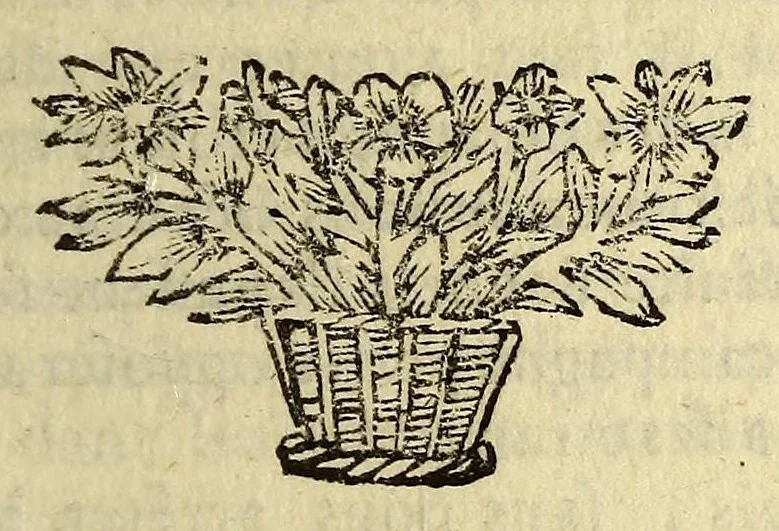 An illustration from Introduction à l'histoire. : Des principaux etats, tels qu'ils sont aujourd'hui dans l'Europe., 1685, leaf 81