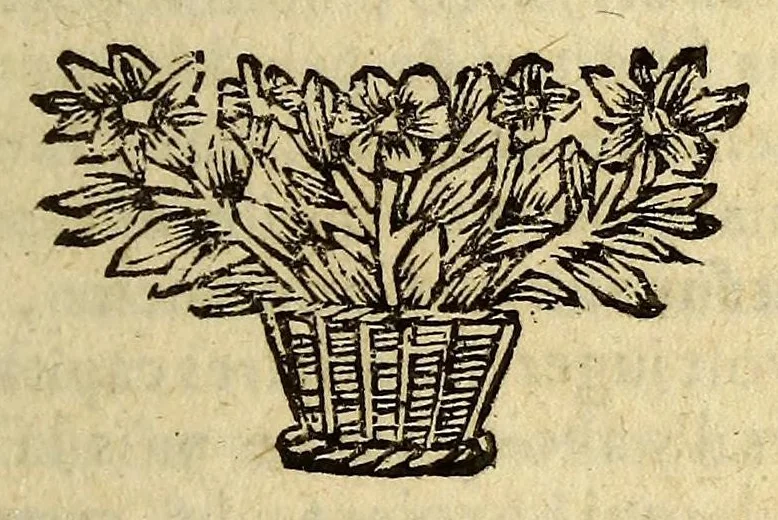 An illustration from Introduction à l'histoire. : Des principaux etats, tels qu'ils sont aujourd'hui dans l'Europe., 1685, leaf 87