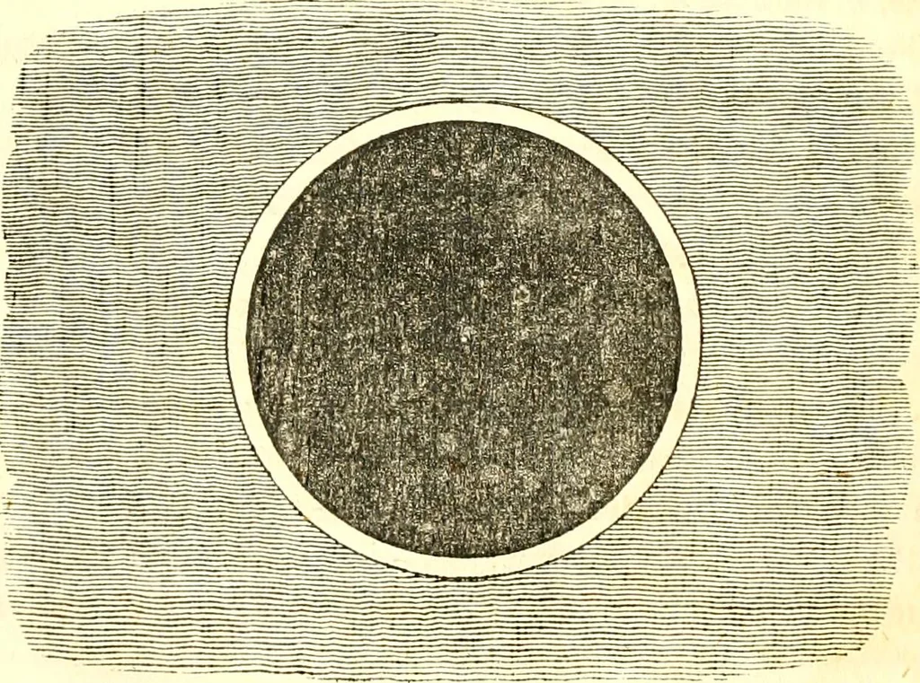 An illustration from An introduction to astronomy : designed as a text book for the students of Yale College, 1846, leaf 183