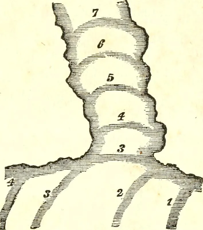 An illustration from An introduction to astronomy : designed as a text book for the students of Yale College, 1846, leaf 196