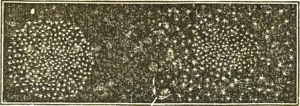 An illustration from An introduction to astronomy : designed as a text book for the students of Yale College, 1846, leaf 284
