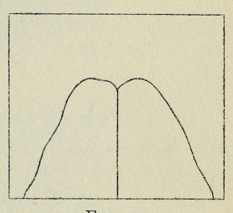 An illustration from An introduction to the chemistry of paints, 1910, leaf 217