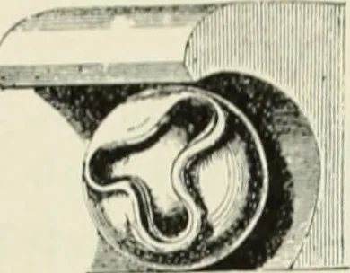An illustration from An introduction to English church architecture : from the eleventh to the sixteenth century, 1913, leaf 246