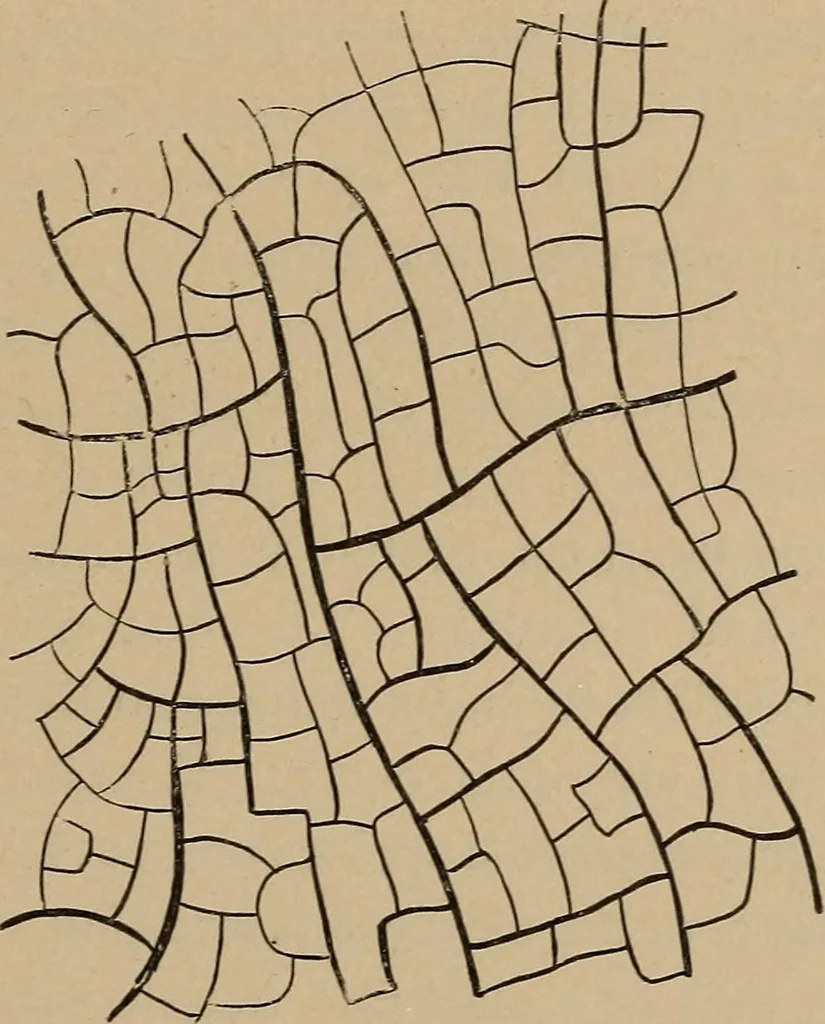 An illustration from An introduction to projective geometry and its applications; an analytic and synthetic treatment, 1905, leaf 254