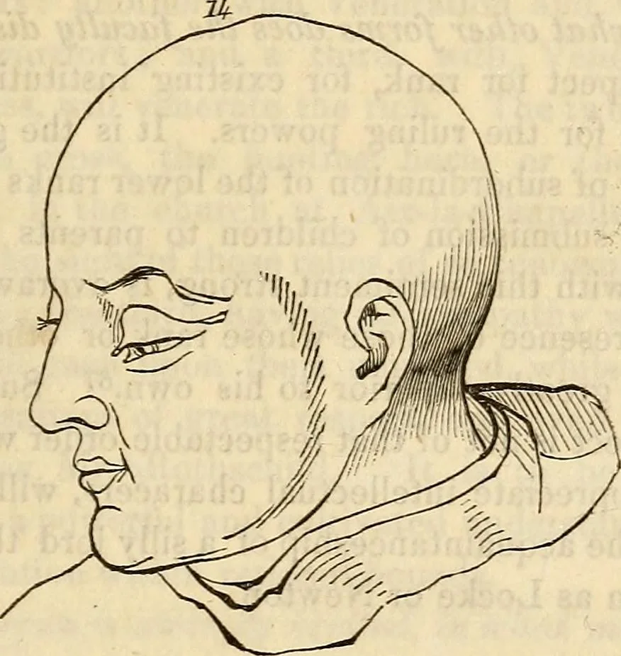 An illustration from An introduction to phrenology, 1837, leaf 102
