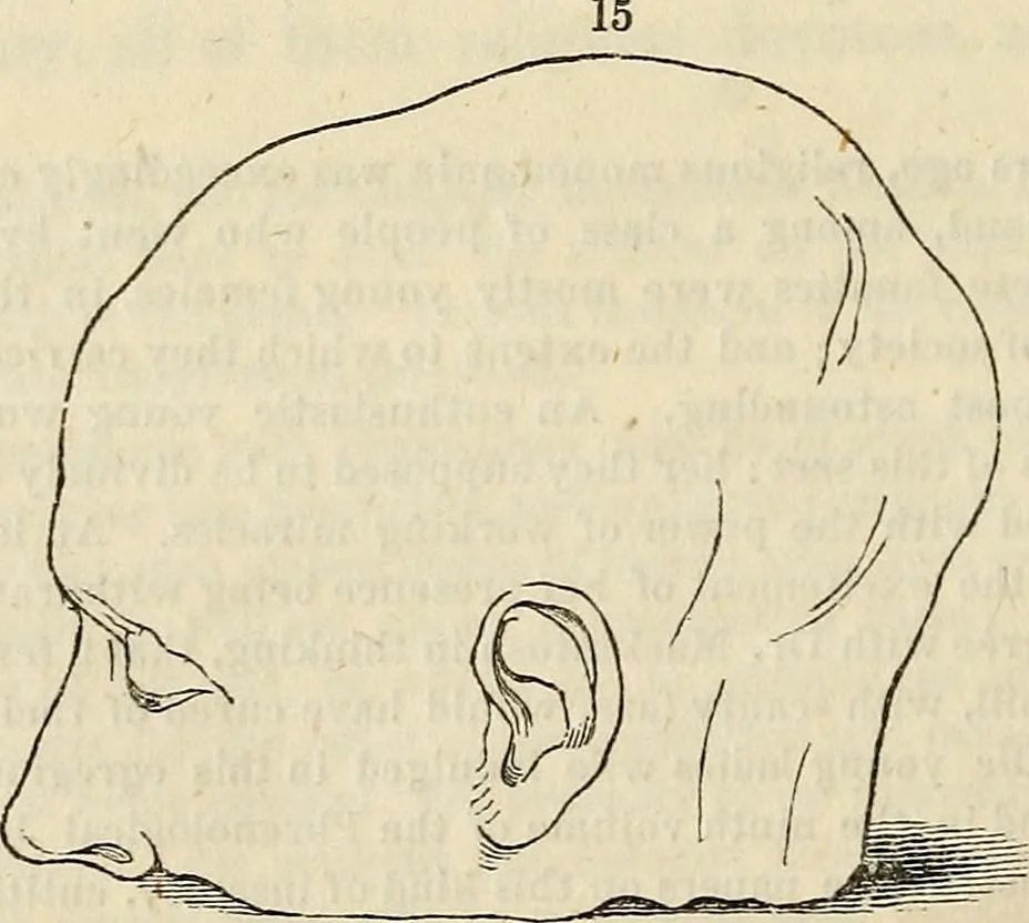 An illustration from An introduction to phrenology, 1837, leaf 107