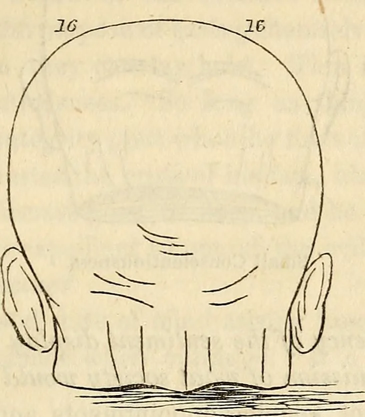 An illustration from An introduction to phrenology, 1837, leaf 110