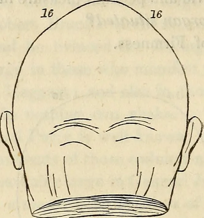 An illustration from An introduction to phrenology, 1837, leaf 111