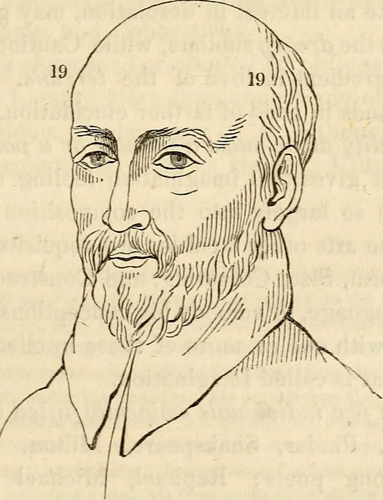 An illustration from An introduction to phrenology, 1837, leaf 118
