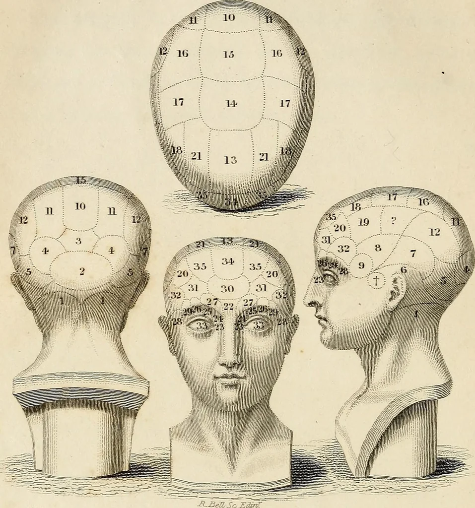 An illustration from An introduction to phrenology, 1837, leaf 13