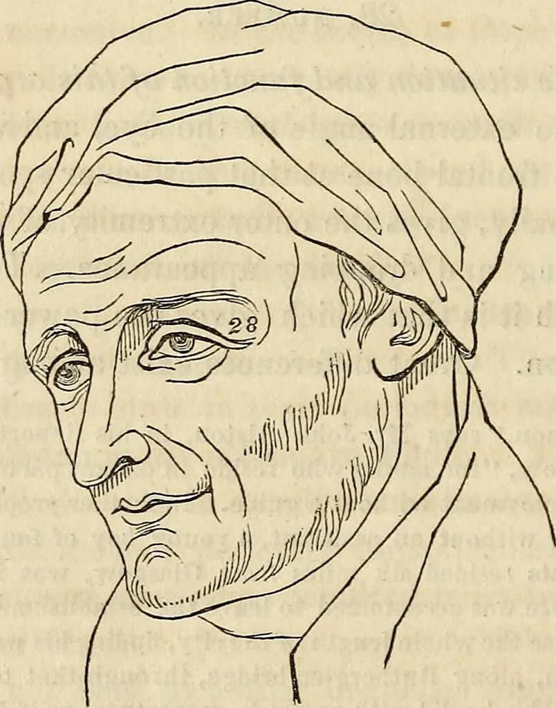 An illustration from An introduction to phrenology, 1837, leaf 141