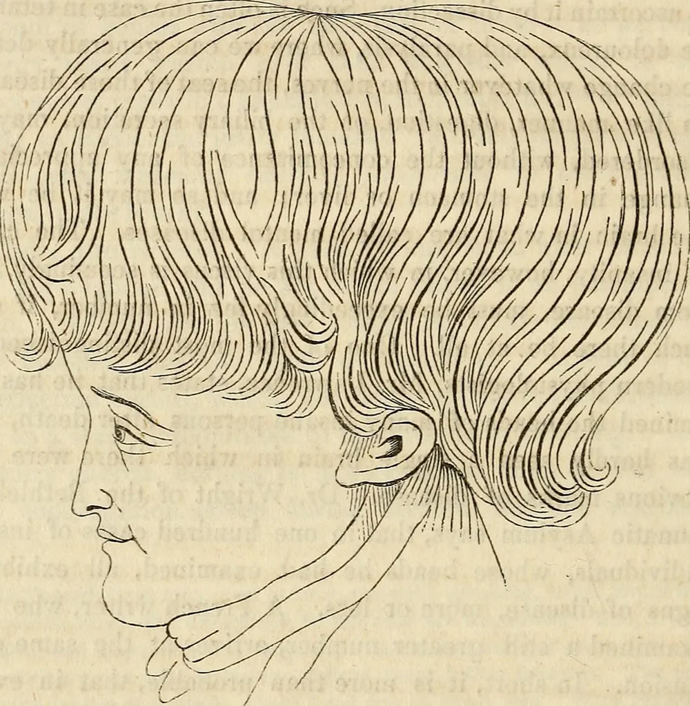An illustration from An introduction to phrenology, 1837, leaf 187