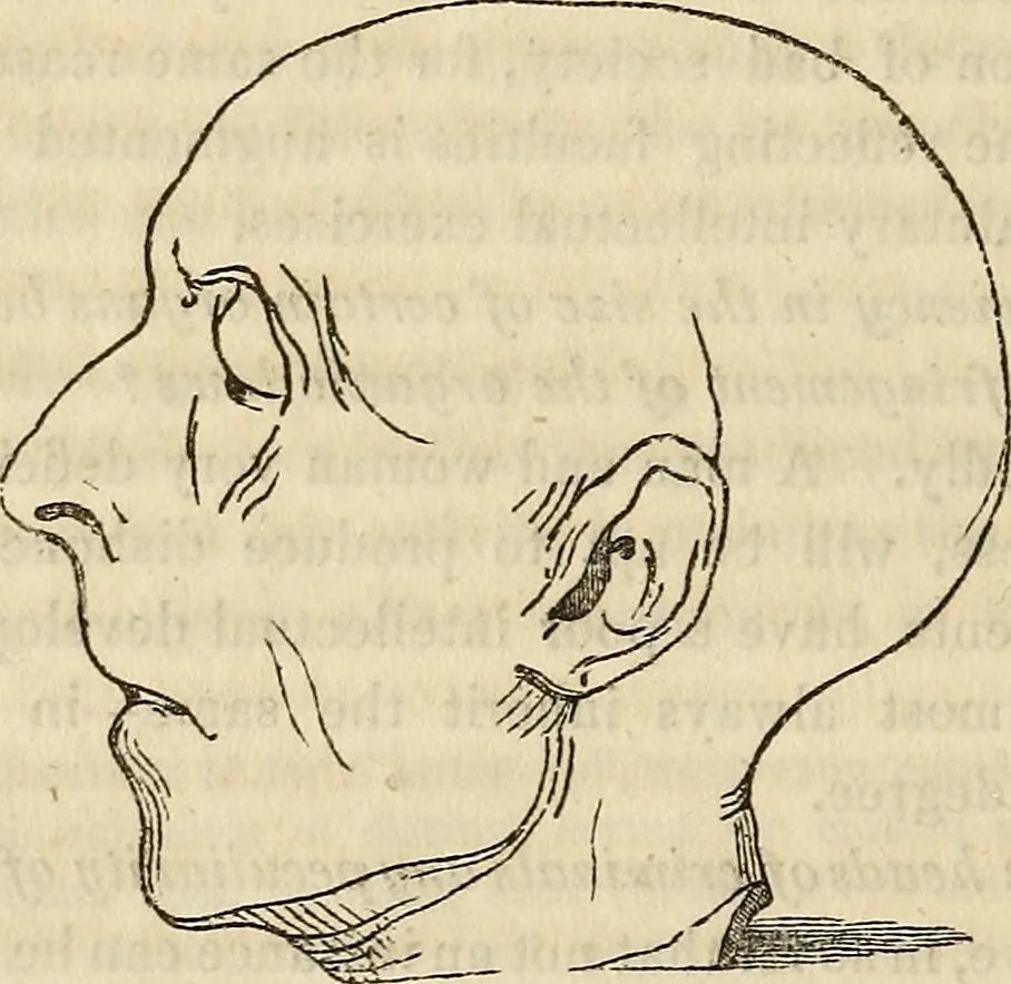An illustration from An introduction to phrenology, 1837, leaf 191
