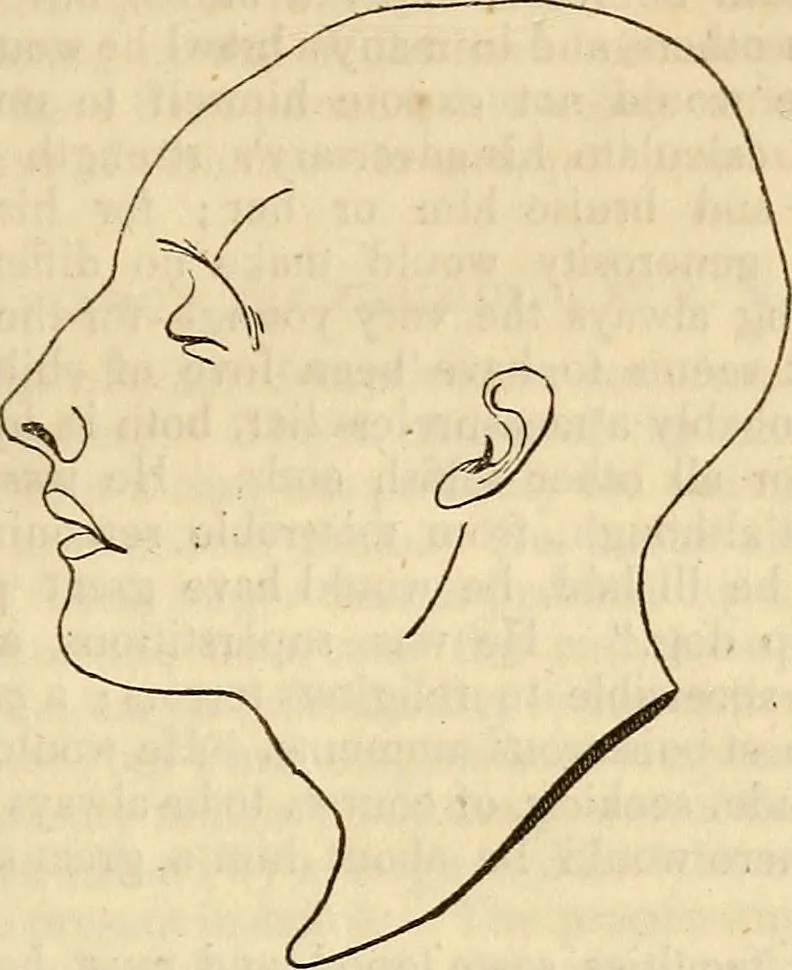 An illustration from An introduction to phrenology, 1837, leaf 216