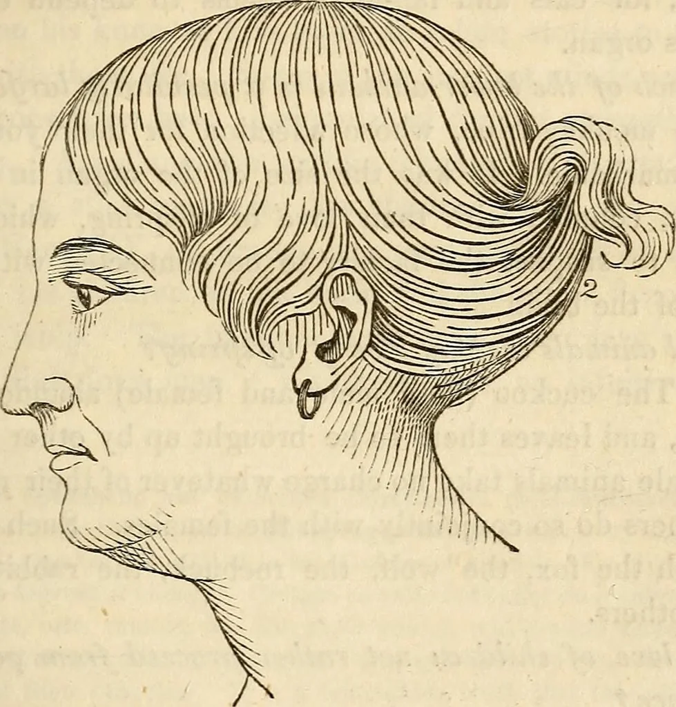 An illustration from An introduction to phrenology, 1837, leaf 54