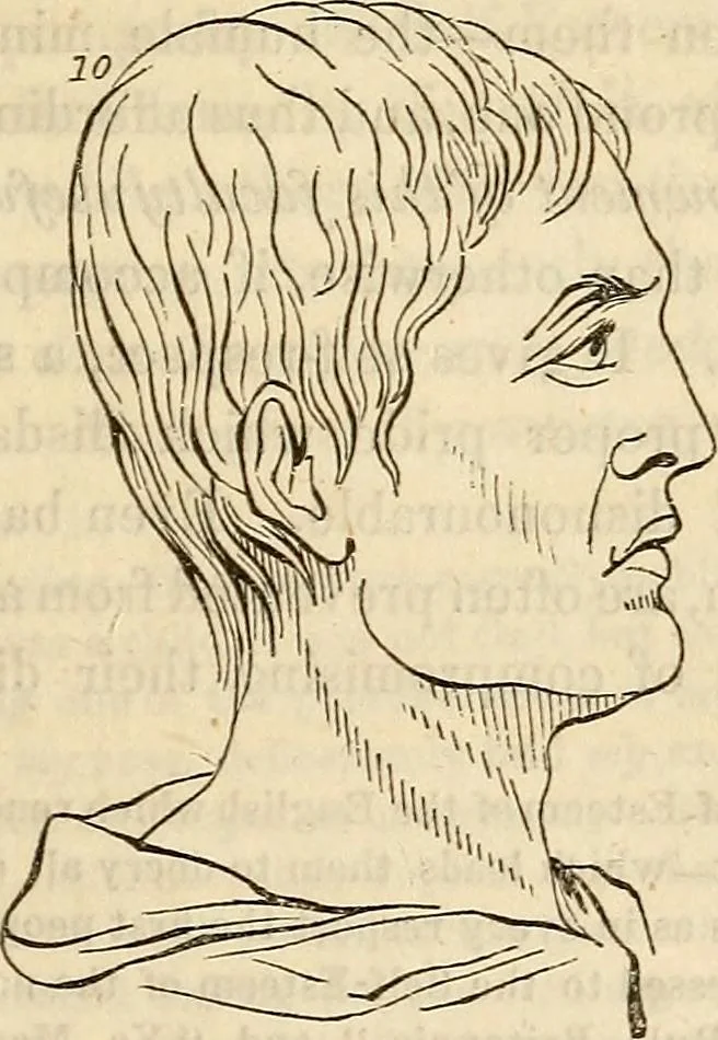 An illustration from An introduction to phrenology, 1837, leaf 84