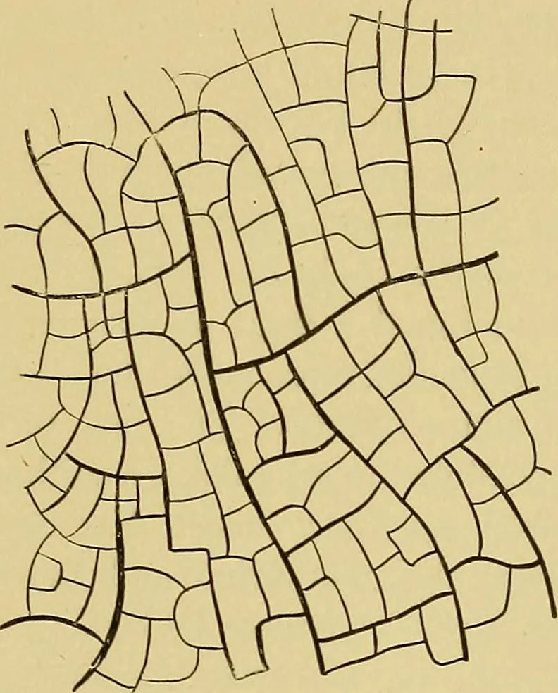 An illustration from An introduction to projective geometry and its applications; an analytic and synthetic treatment, 1905, leaf 254