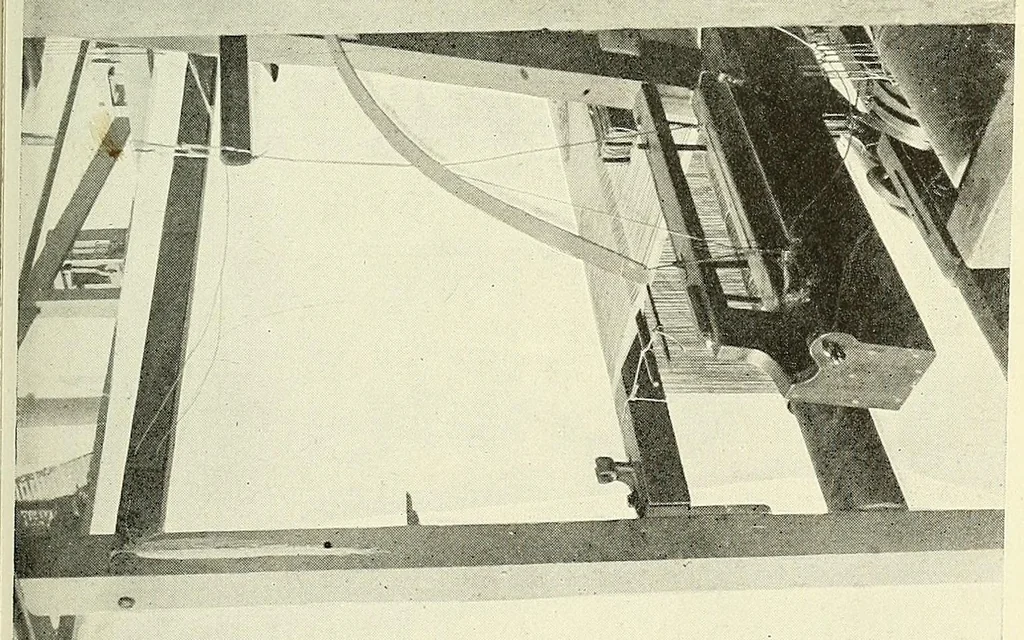 An illustration from An introduction to the study of textile design, 1903, leaf 57