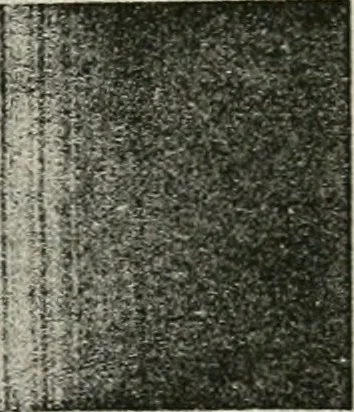 An illustration from Introduction to stellar statistics, 1921, leaf 64
