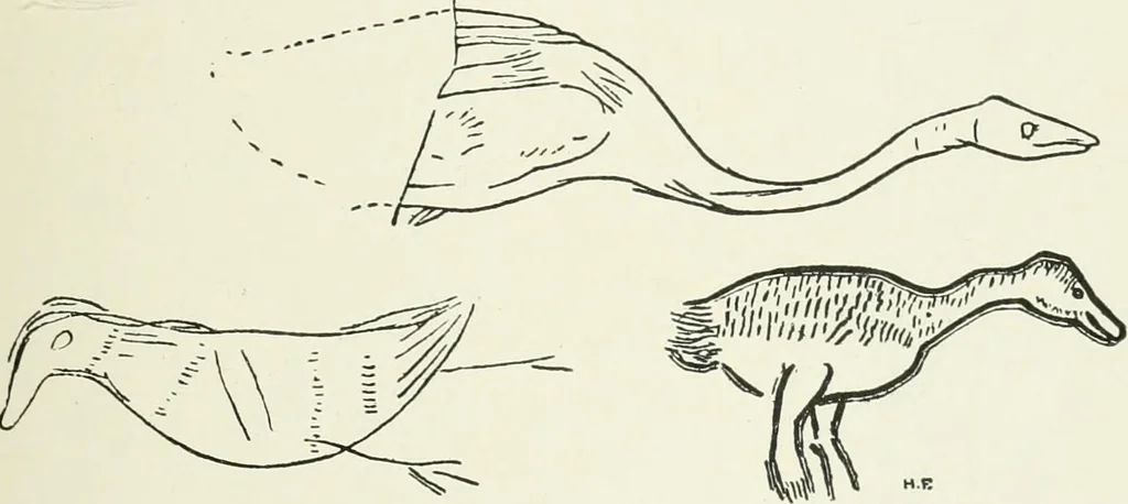 An illustration from An introduction to the study of prehistoric art, 1915, leaf 102