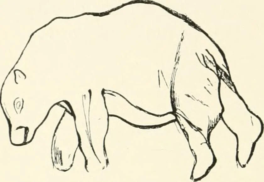 An illustration from An introduction to the study of prehistoric art, 1915, leaf 113
