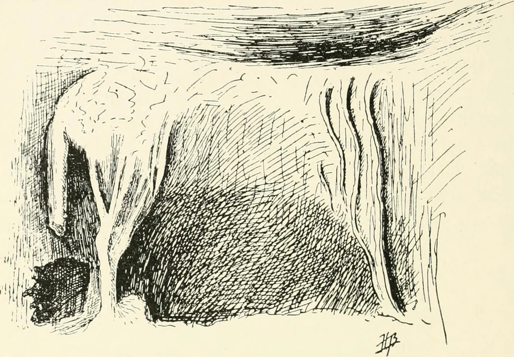 An illustration from An introduction to the study of prehistoric art, 1915, leaf 121