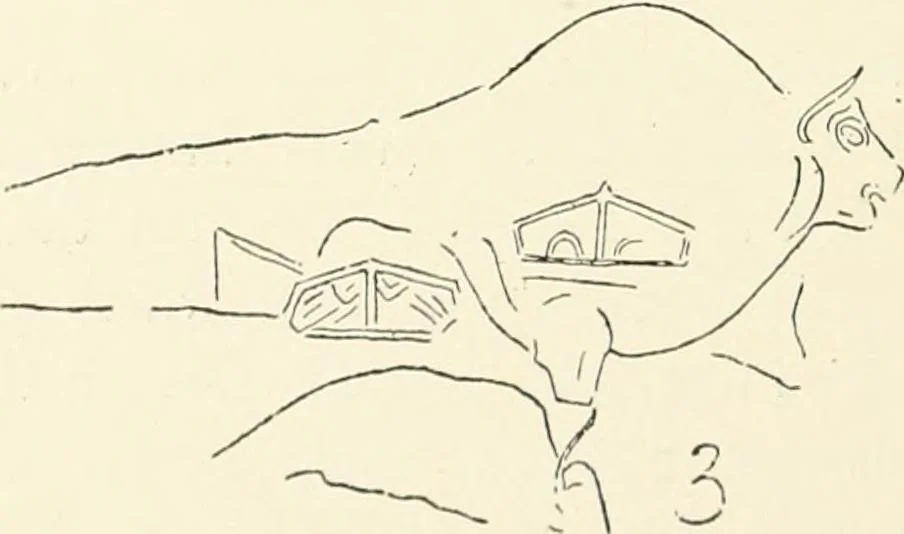 An illustration from An introduction to the study of prehistoric art, 1915, leaf 121
