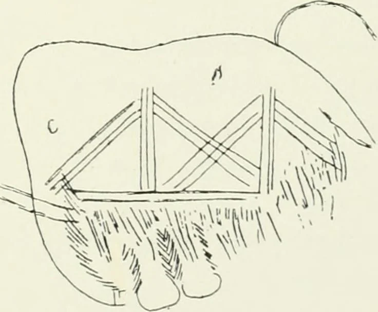 An illustration from An introduction to the study of prehistoric art, 1915, leaf 122