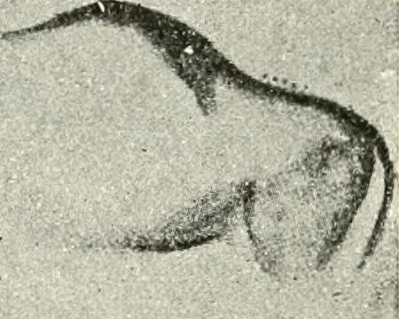 An illustration from An introduction to the study of prehistoric art, 1915, leaf 127