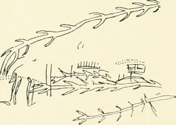 An illustration from An introduction to the study of prehistoric art, 1915, leaf 127