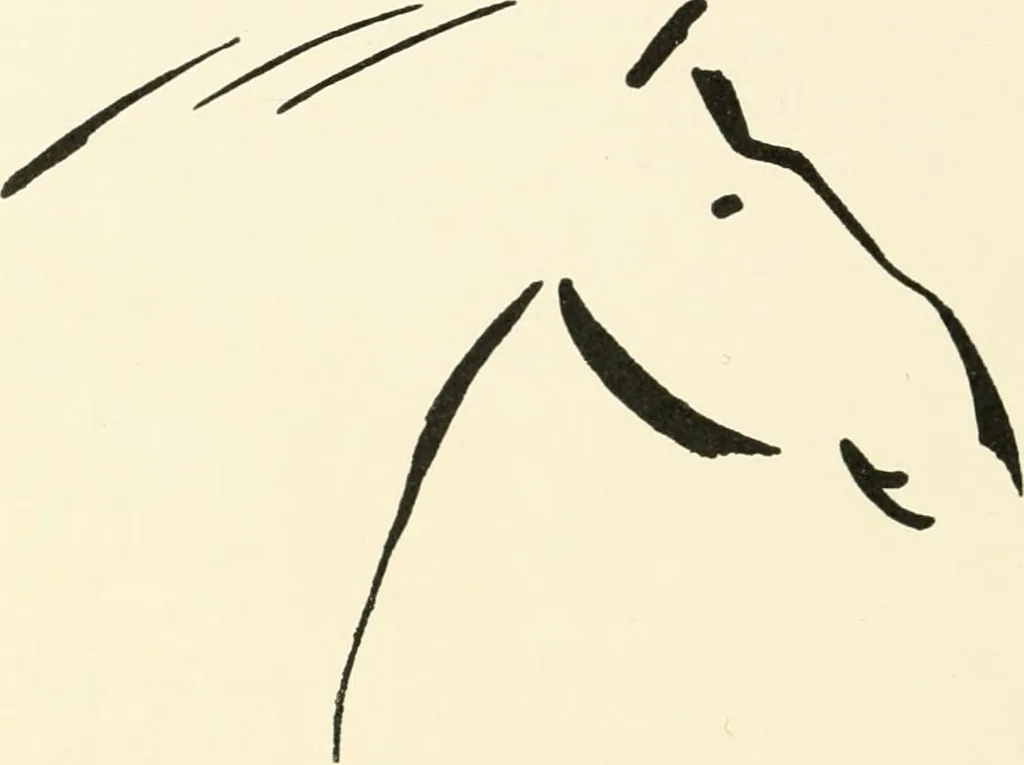 An illustration from An introduction to the study of prehistoric art, 1915, leaf 135