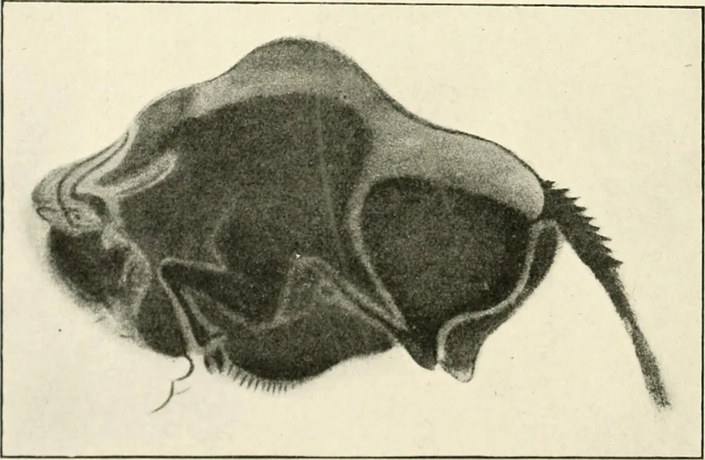 An illustration from An introduction to the study of prehistoric art, 1915, leaf 139