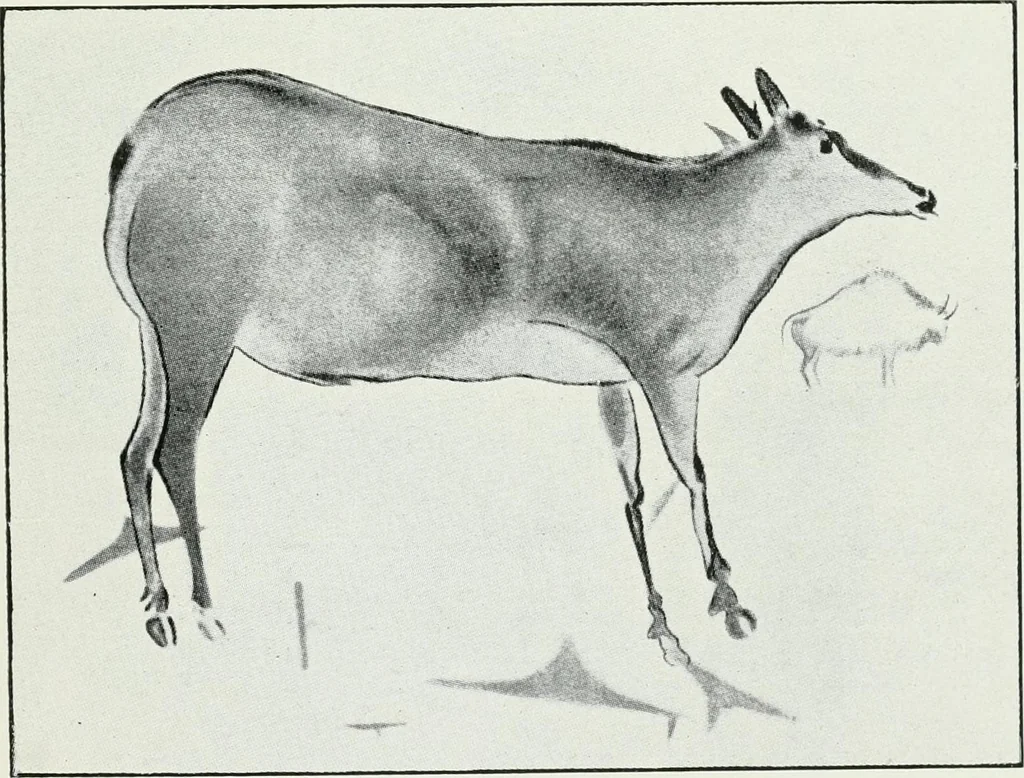An illustration from An introduction to the study of prehistoric art, 1915, leaf 140