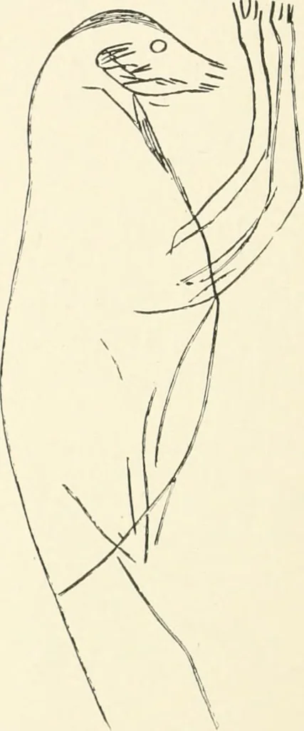 An illustration from An introduction to the study of prehistoric art, 1915, leaf 143