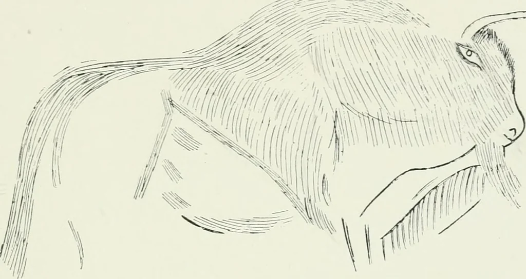 An illustration from An introduction to the study of prehistoric art, 1915, leaf 144