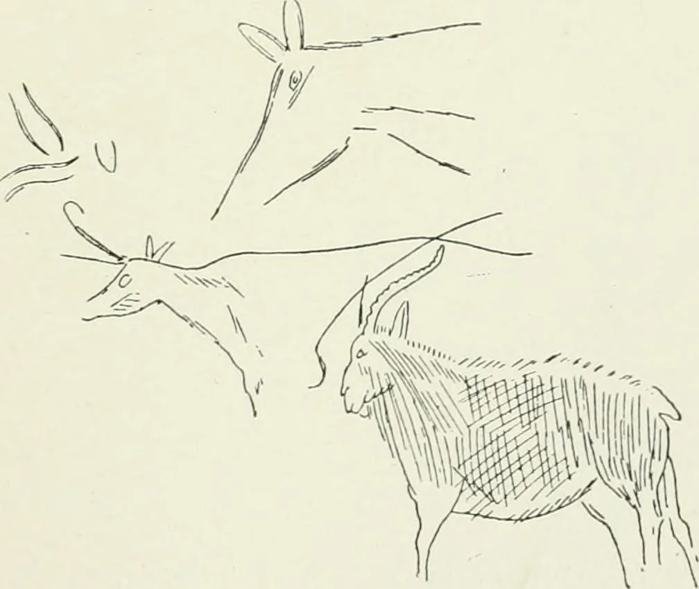 An illustration from An introduction to the study of prehistoric art, 1915, leaf 148