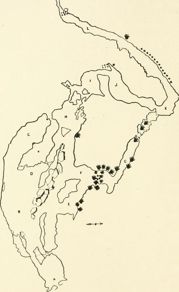 An illustration from An introduction to the study of prehistoric art, 1915, leaf 149