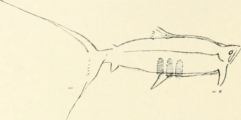 An illustration from An introduction to the study of prehistoric art, 1915, leaf 155