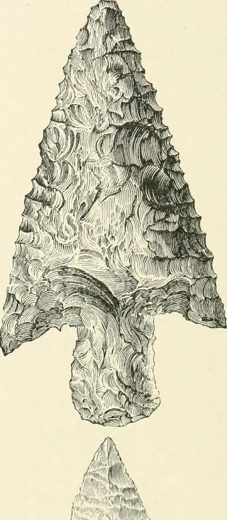 An illustration from An introduction to the study of prehistoric art, 1915, leaf 181