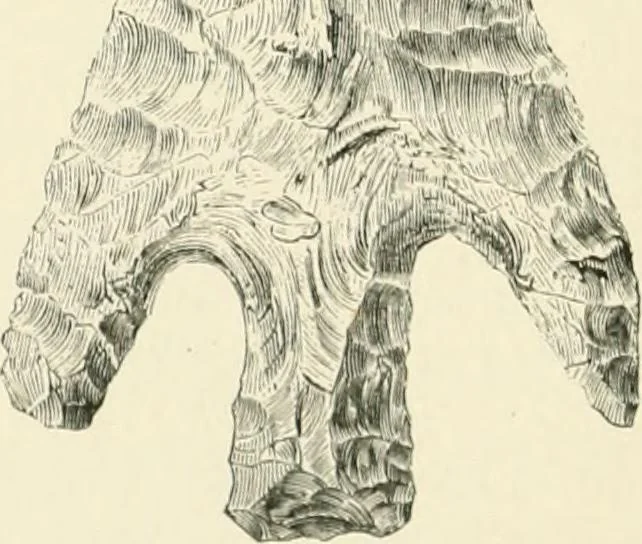 An illustration from An introduction to the study of prehistoric art, 1915, leaf 181
