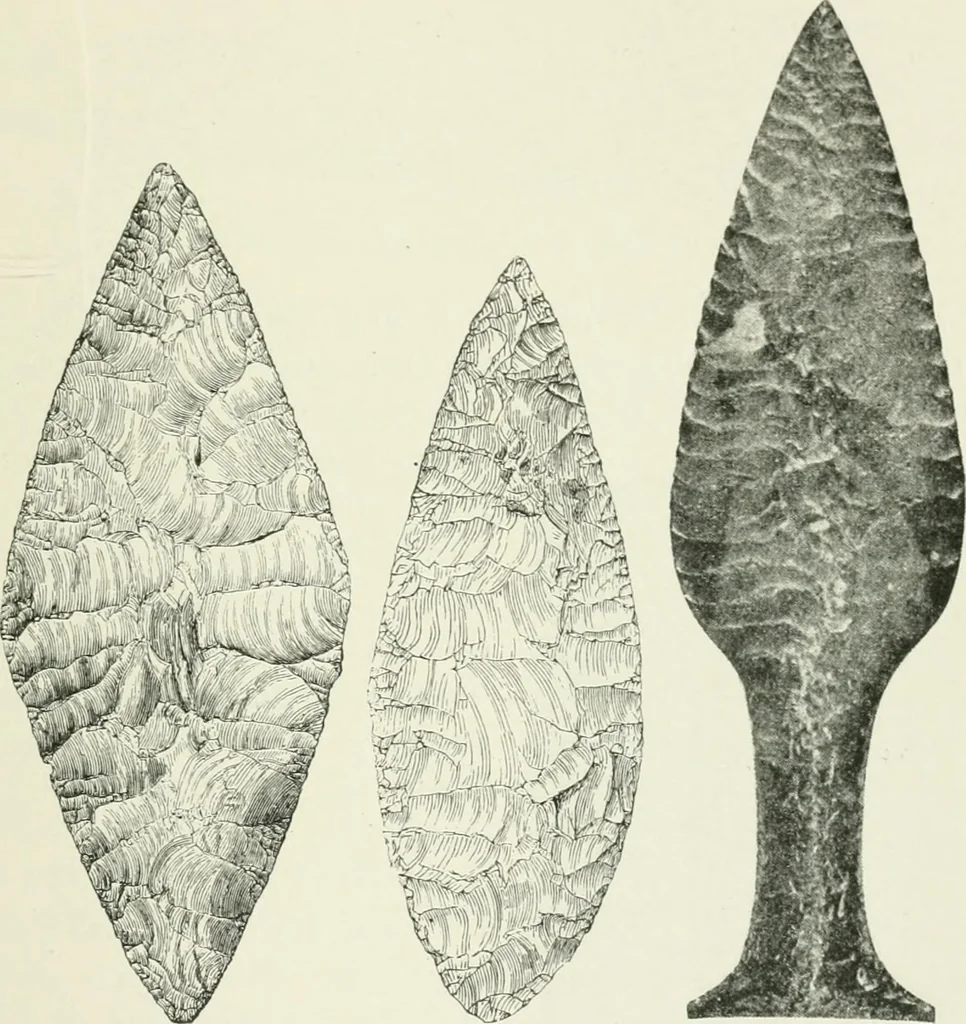 An illustration from An introduction to the study of prehistoric art, 1915, leaf 182