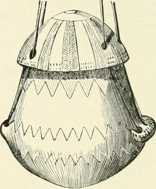An illustration from An introduction to the study of prehistoric art, 1915, leaf 187