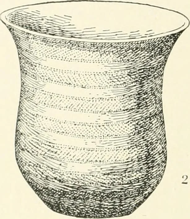 An illustration from An introduction to the study of prehistoric art, 1915, leaf 191