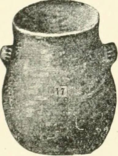 An illustration from An introduction to the study of prehistoric art, 1915, leaf 195