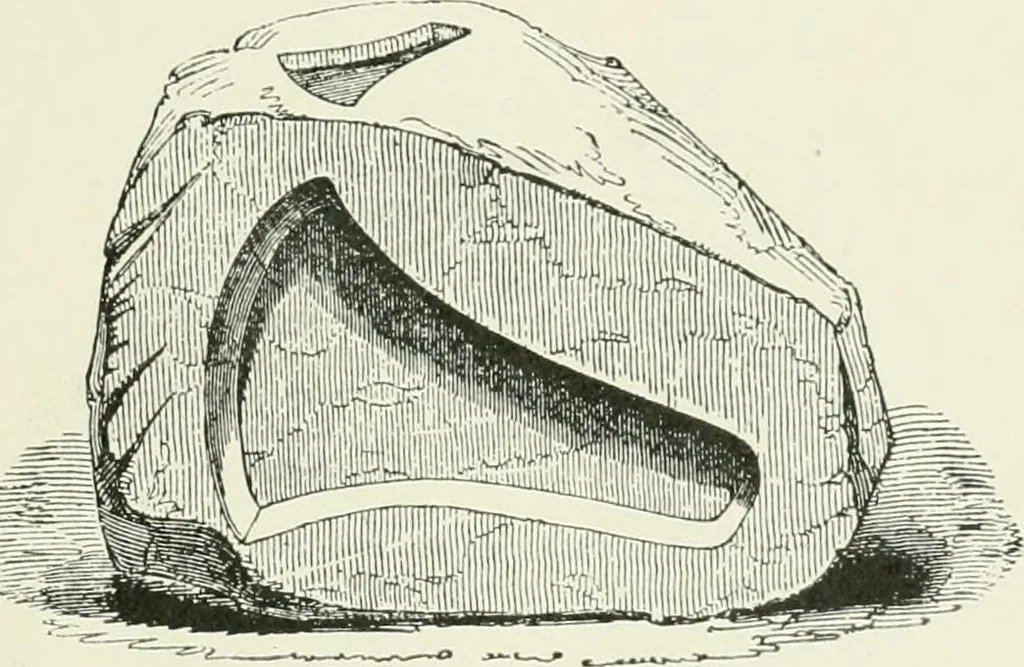 An illustration from An introduction to the study of prehistoric art, 1915, leaf 214