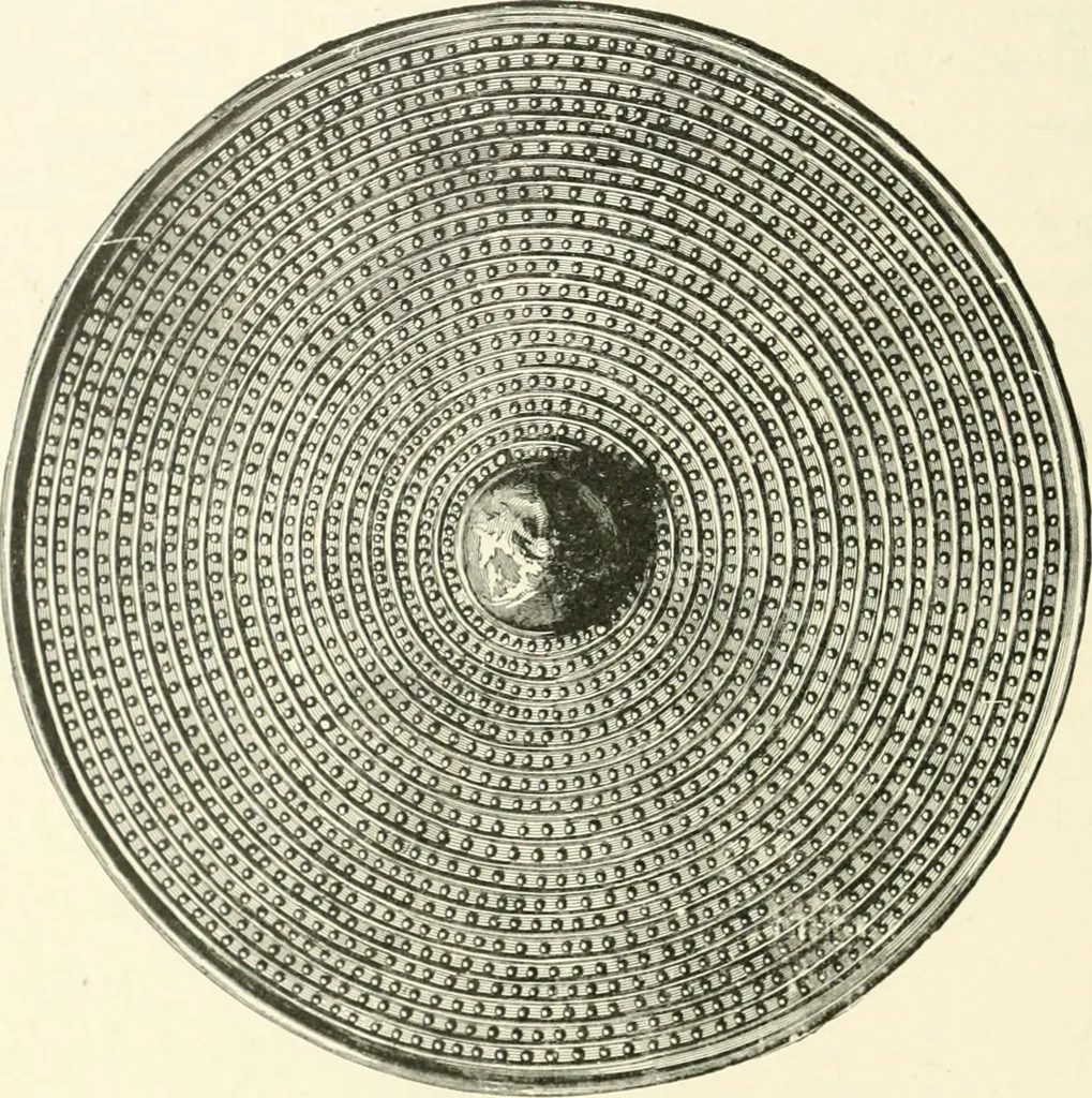 An illustration from An introduction to the study of prehistoric art, 1915, leaf 221