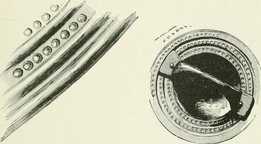 An illustration from An introduction to the study of prehistoric art, 1915, leaf 222