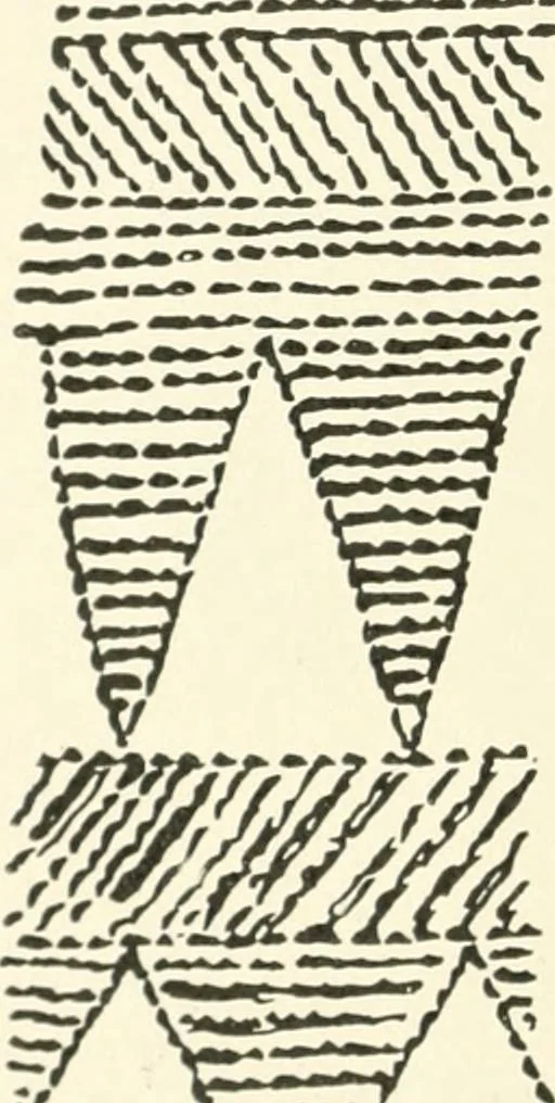 An illustration from An introduction to the study of prehistoric art, 1915, leaf 231