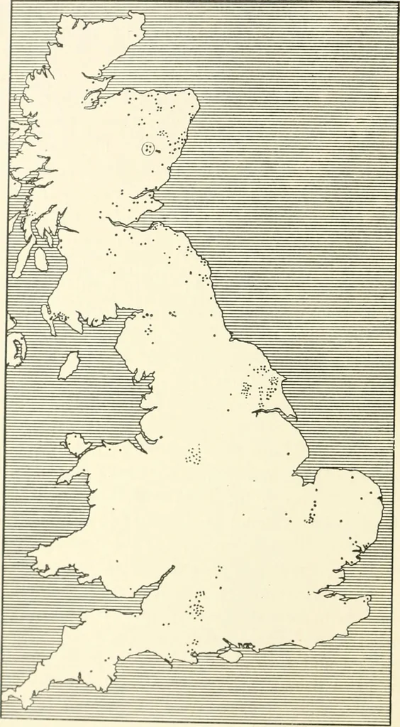 An illustration from An introduction to the study of prehistoric art, 1915, leaf 233